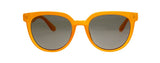 Buttercup Sunglasses in Amber