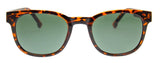 Hill Street Sunglasses in Tortoise