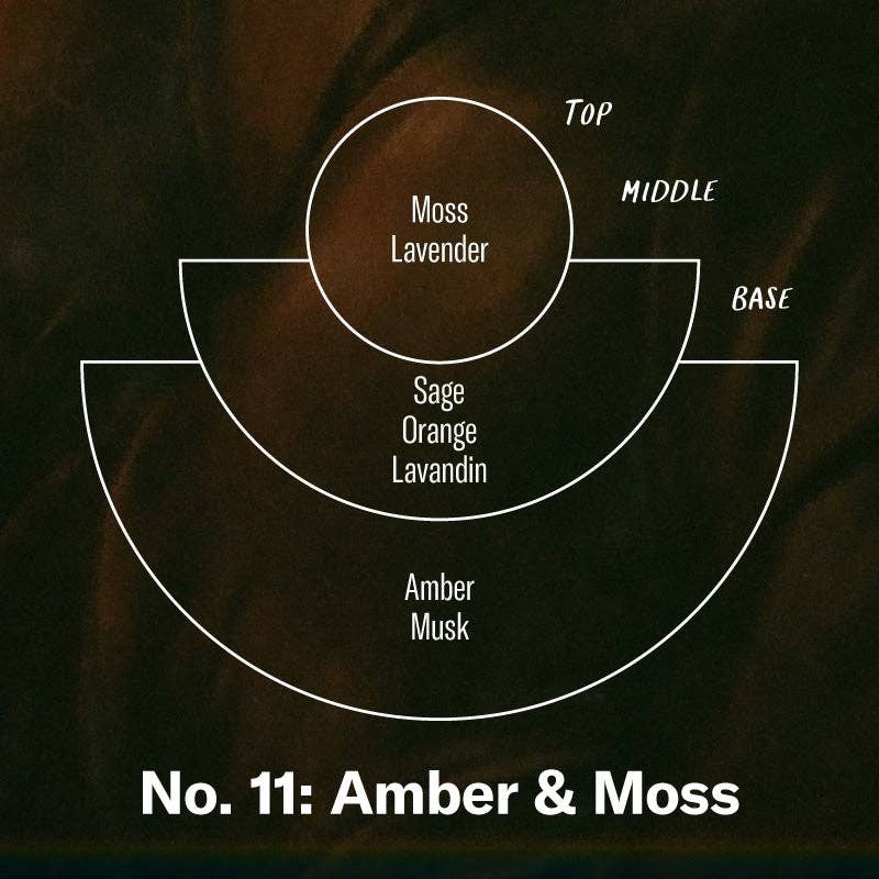 Amber & Moss - Large Concentrated Candle