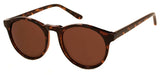 Grad School Sunglasses in Crystal/Tortoise