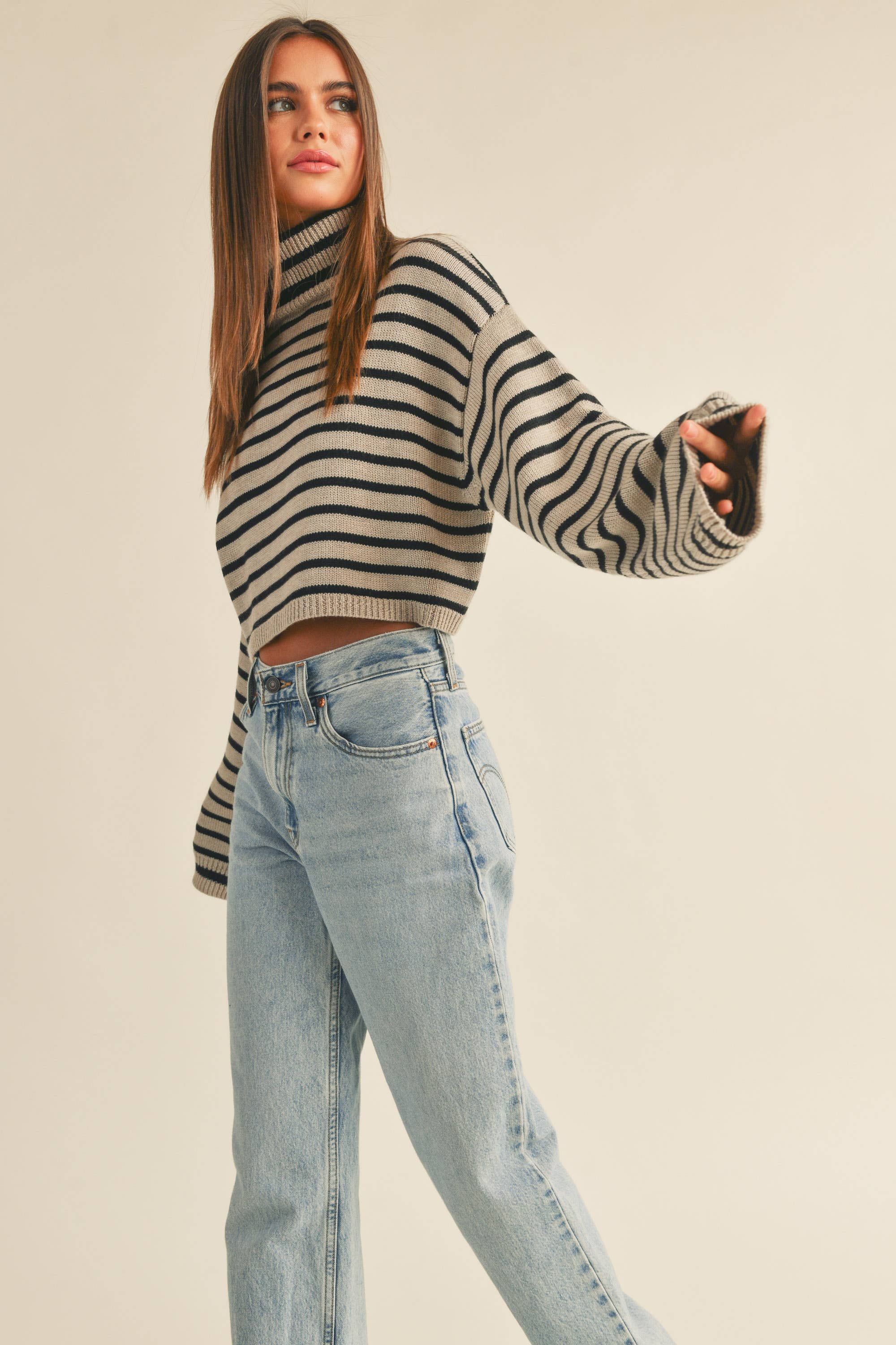 Striped Cropped Turtleneck Sweater