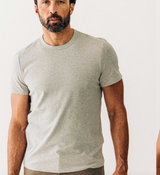 Taylor Stitch Organic Cotton Tee in Sage, White or Grey