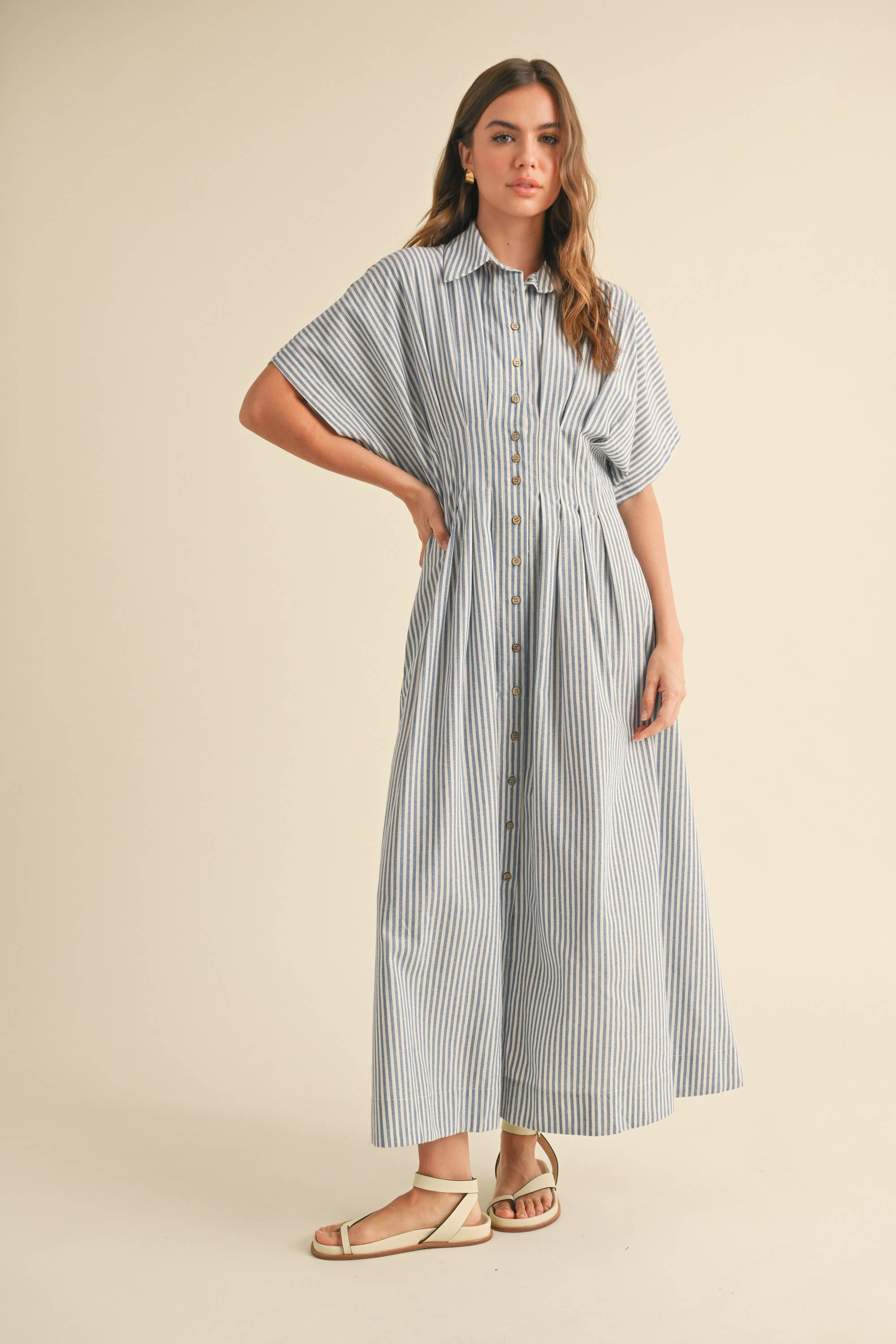 Blue Striped Cotton Button Down Dress