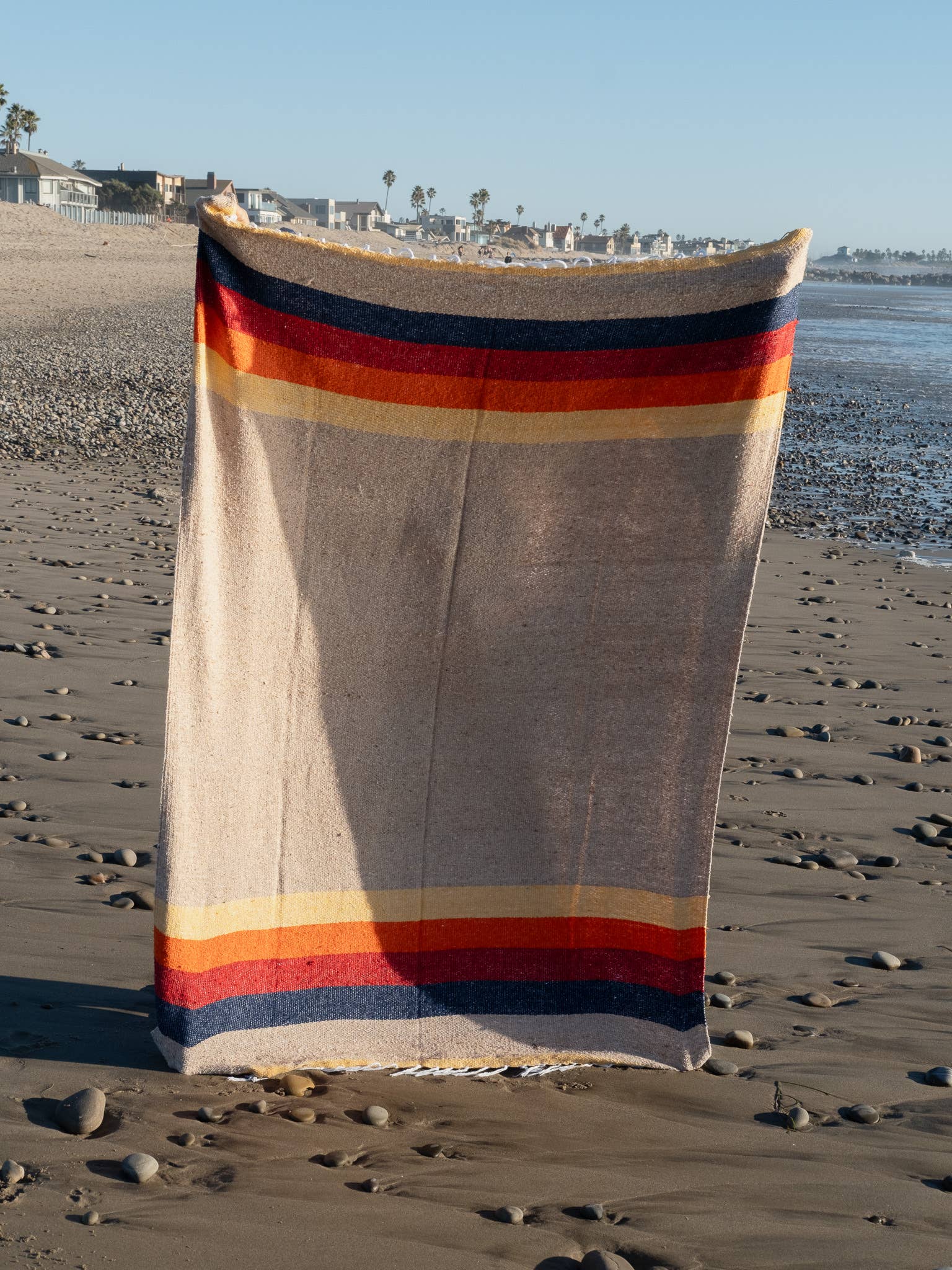 Vintage Cow Desert Throw Blanket