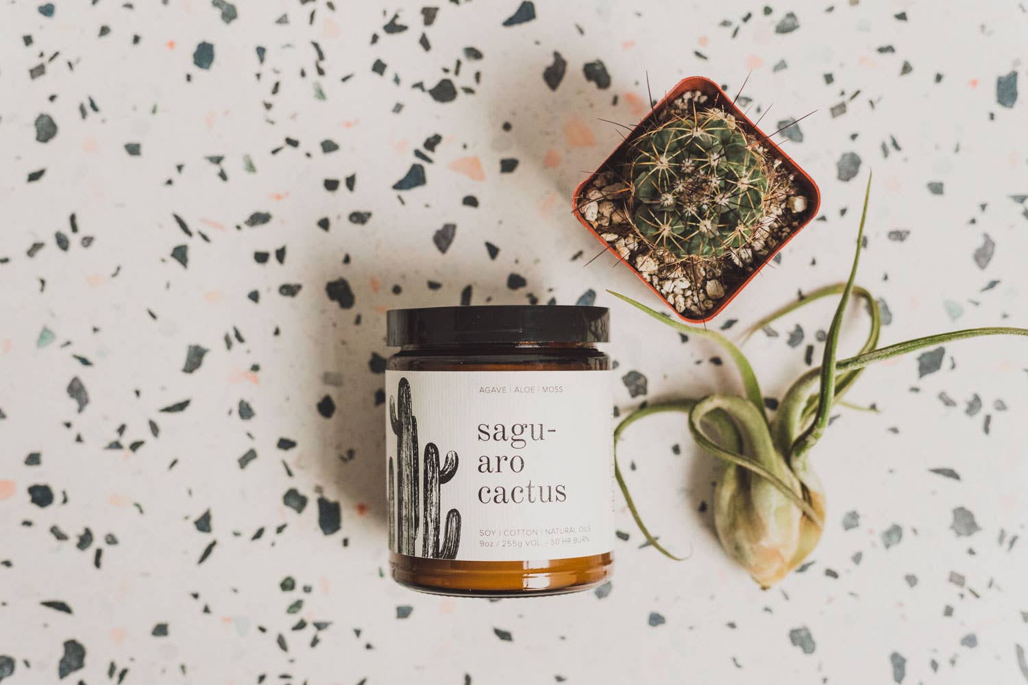 Saguaro Cactus Natural Soy Candle 9 oz