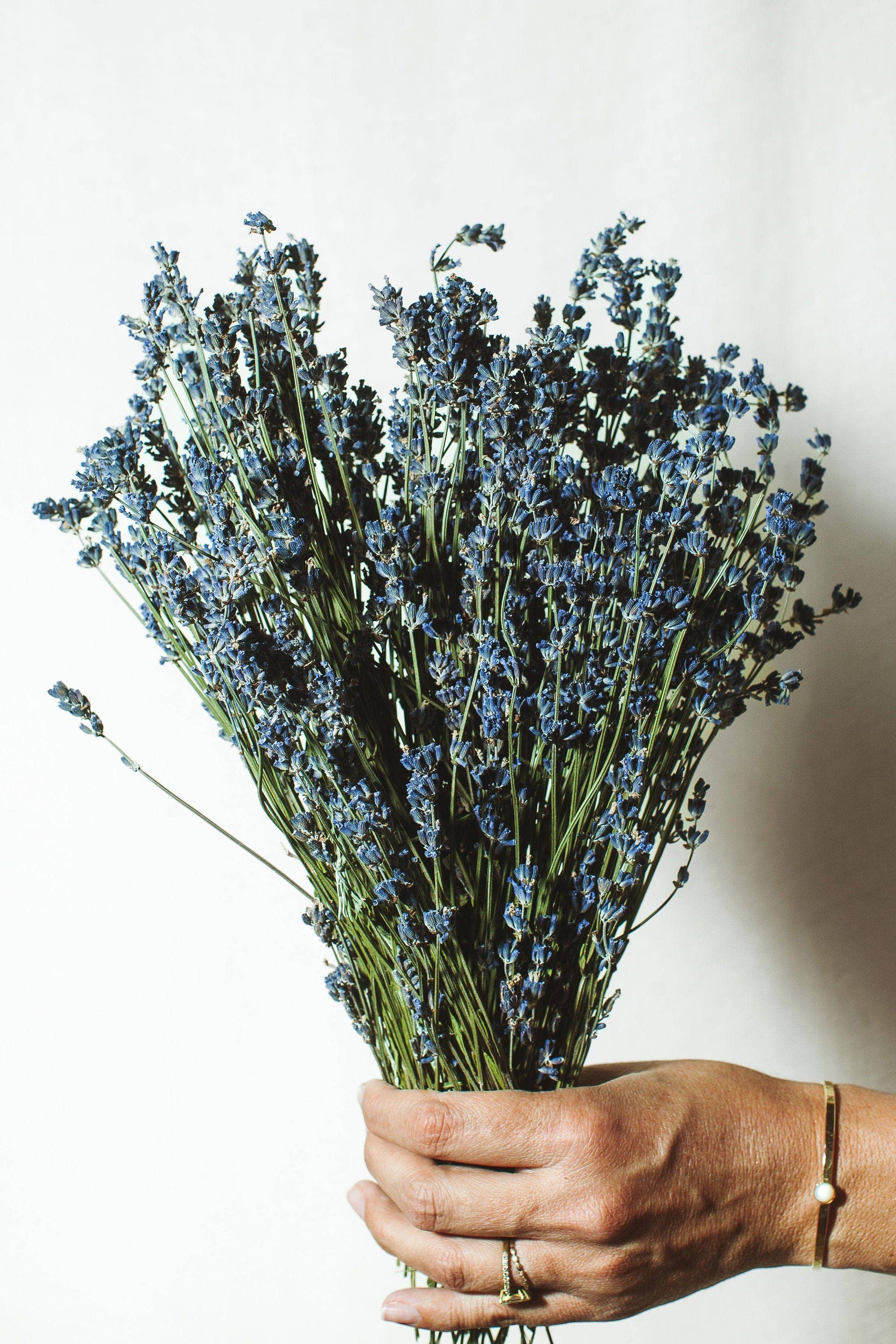 Dried Lavender