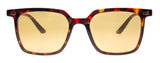 Leon Sunglasses in Tortoise