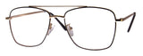 Wire Frame Readers Black/Gold