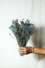 Dried Lavender