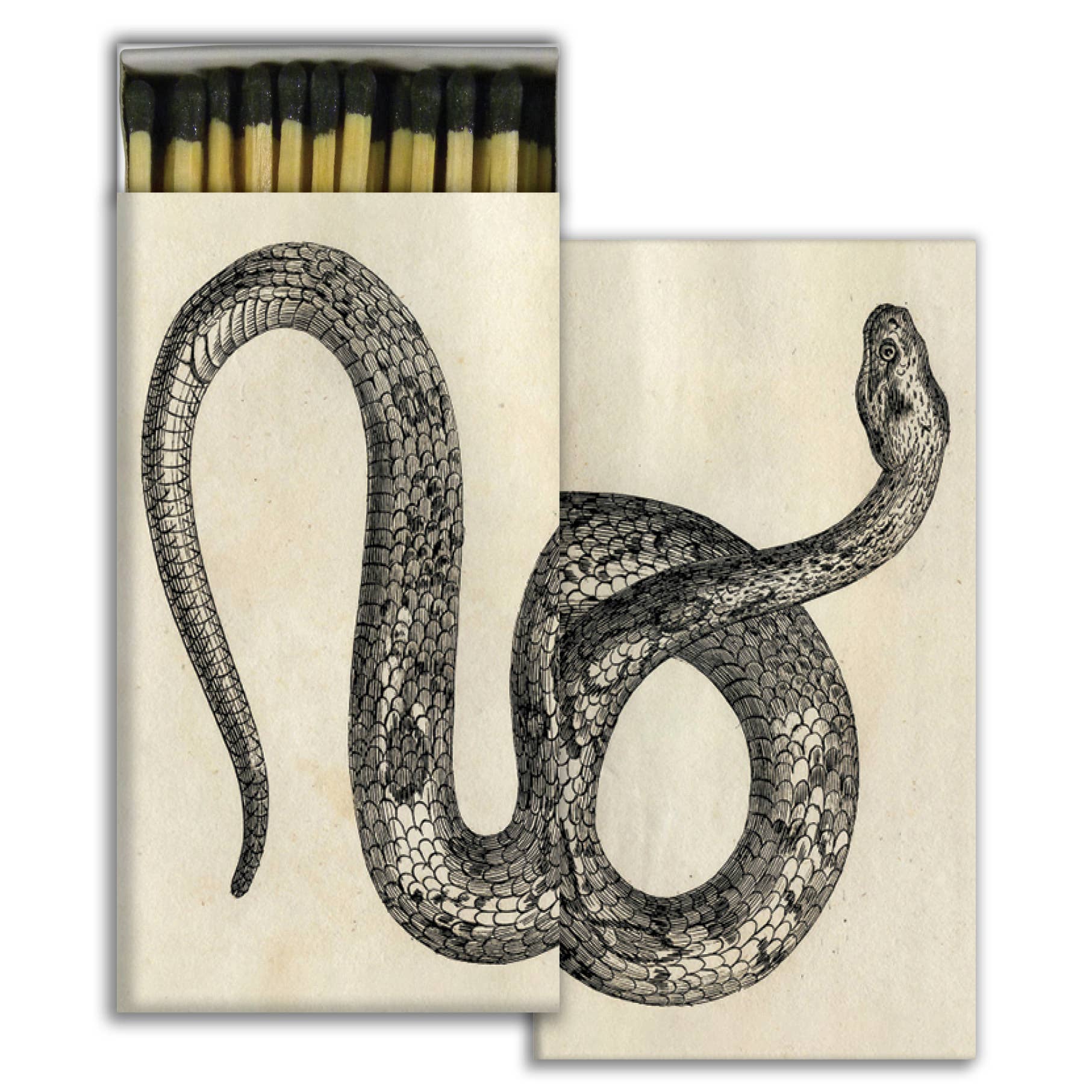 Match - Snake